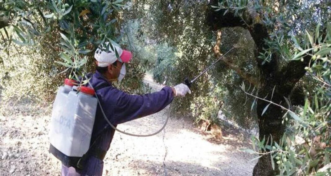 Αγροκτηνοτροφικός σύλλογος Θάσου | Ανακοίνωση για τους εργαζόμενους στη δακοκτονία
