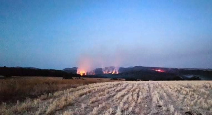 Υπό πλήρη έλεγχο οι φωτιές στην Αλεξανδρούπολη