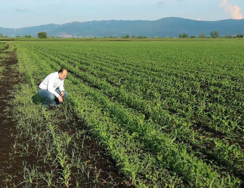 Μακάριος:<br>«Ξεκινάει σήμερα η αναγγελία για τα ηλιόσπορα στα Τενάγη των Φιλίππων»