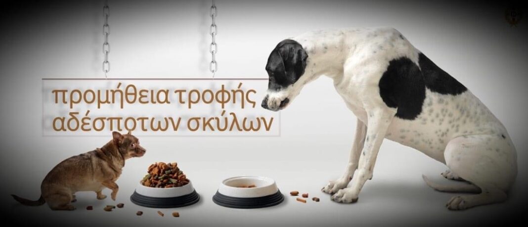 Διανομή τροφών αδέσποτων ζώων από τον Δήμο Καβάλας