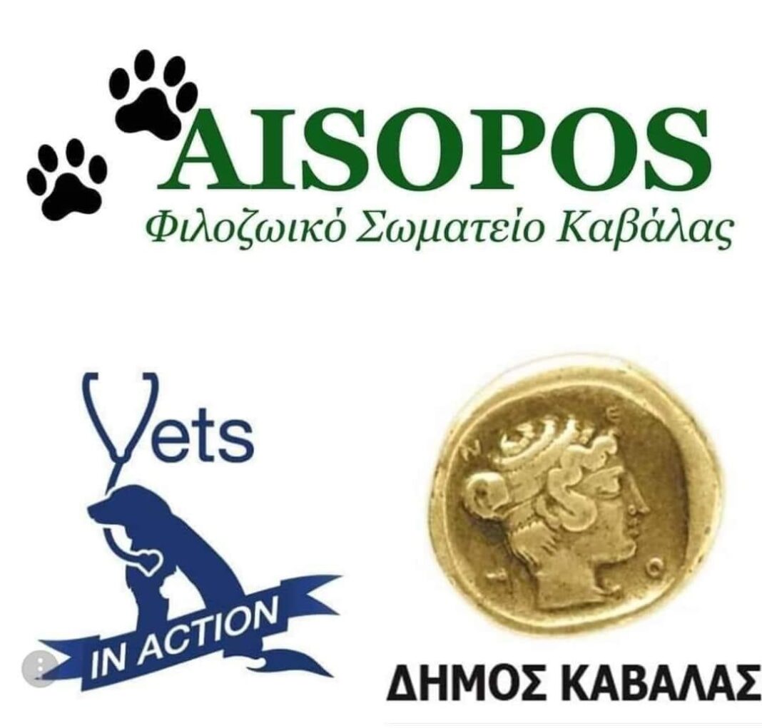 ΔΗΜΟΣ ΚΑΒΑΛΑΣ / Φιλοζωϊκό Σωματείο Καβάλας «Αίσωπος» / Vets in Action: Δωρεάν στειρώσεις σε αδέσποτα ζώα