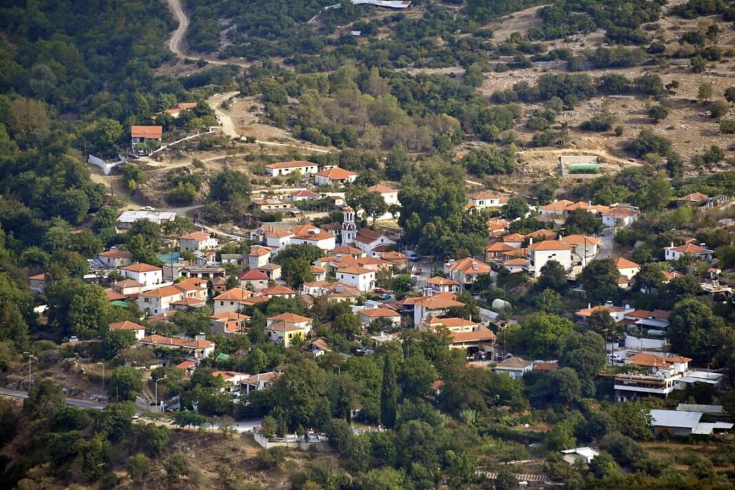 Μηνυτήρια αναφορά του Δήμου Καβάλας στην εισαγγελία Καβάλας, για τις ανεπιτήρητες αγελάδες στην Παλαιά Καβάλα