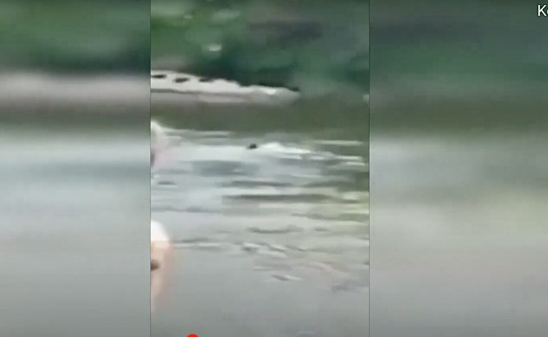 Ντοκουμέντο από τον Έβρο: Πώς οι τούρκοι στρατοχωροφύλακες προωθούν μετανάστες στην Ελλάδα