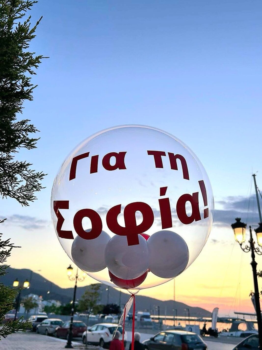 Η Σοφία ταξιδεύει για την ελπίδα – Συγκεντρώθηκε το 100% του ποσού για την εγχείρηση