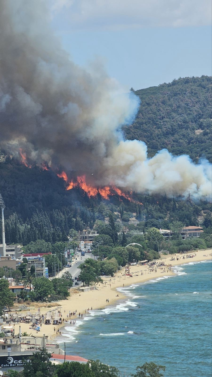 «Μεγάλη φωτιά σε περιαστικό δάσος πάνω από την Άσπρη Άμμο – επιχειρούν επίγειες και εναέριες δυνάμεις»