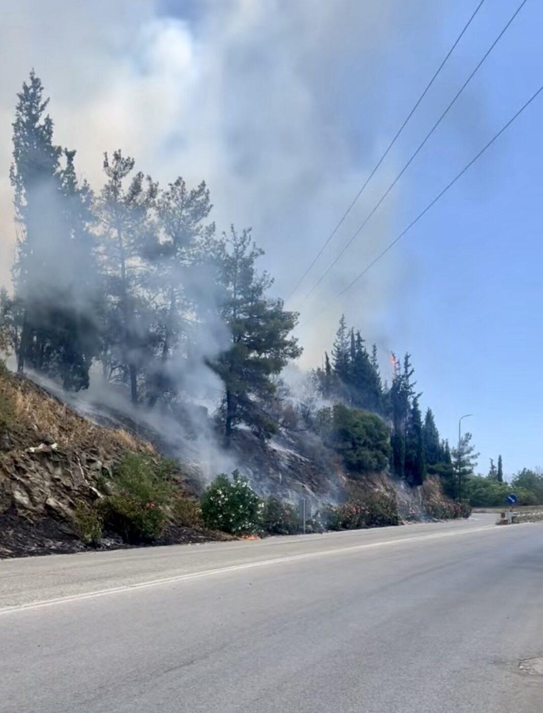 Υπό έλεγχο η φωτιά στην Άσπρη Άμμο – Συντονισμένη επέμβαση από πυροσβεστική, εναέρια μέσα, εθελοντές και τους Δήμους Παγγαίου και Νέστου