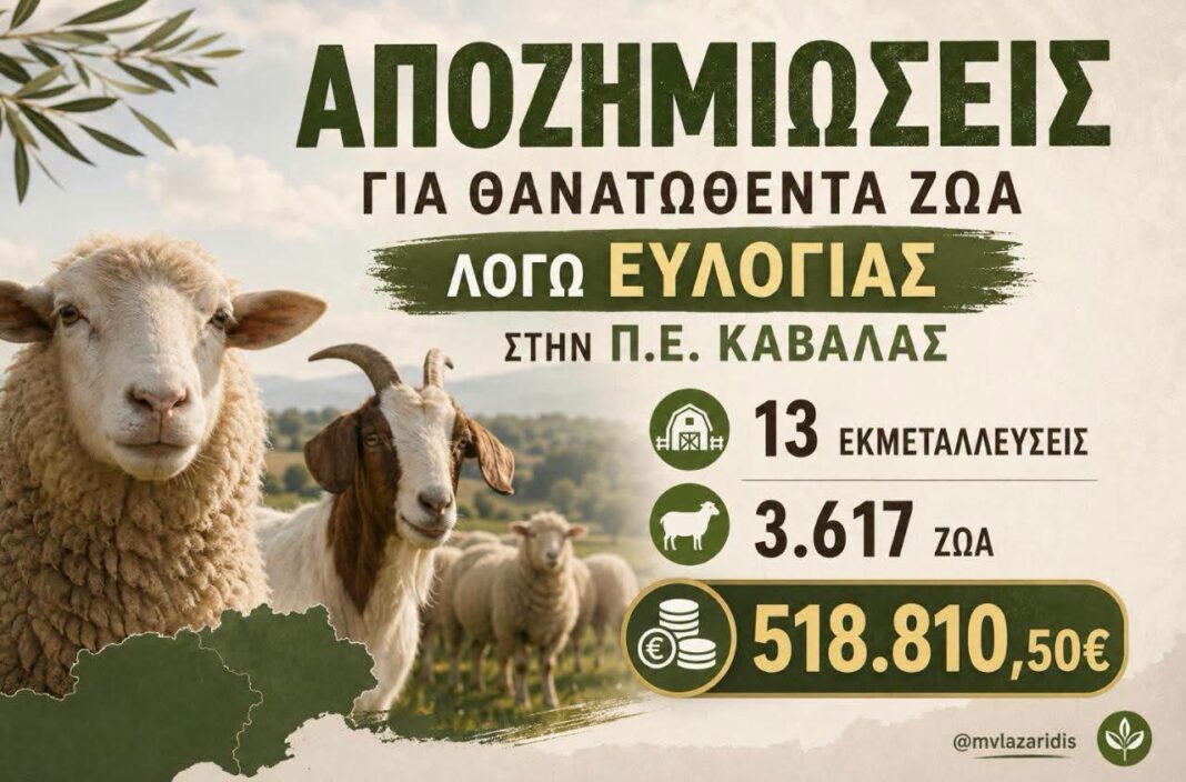Μακάριος Λαζαρίδης: Άμεσα οι αποζημιώσεις άνω των 518.000 ευρώ στους κτηνοτρόφους της Καβάλας