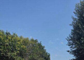 Ασφάλεια και χαμόγελα για τα παιδιά του Δήμου Παγγαίου!