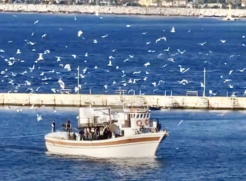 Αναστέλλουν τις κινητοποιήσεις τους οι αλιείς – Τι αναφέρουν στην ανακοίνωσή τους